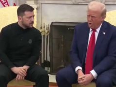 Владимир Зеленский и Дональд Трамп, 28.02.25. Скрин видео t.me/banksta